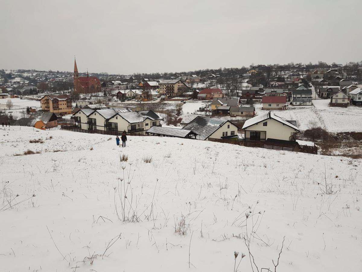 Sat De Vacanta Martisorul Cacica Bagian luar foto