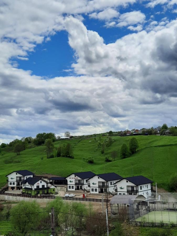 Sat De Vacanta Martisorul Cacica Bagian luar foto