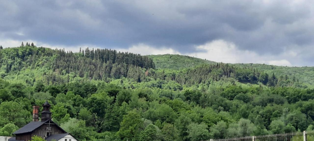 Sat De Vacanta Martisorul Cacica Bagian luar foto